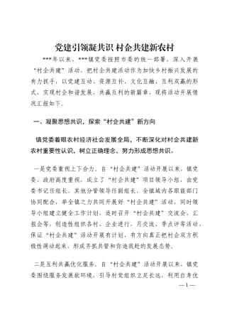 党建引领凝共识 村企共建新农村202210