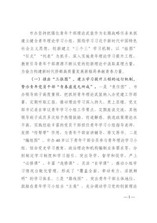 市某办强化青年干部理论武装工作经验202210