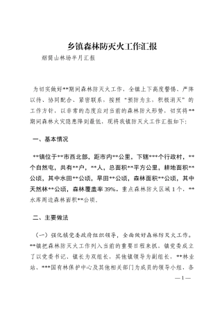 乡镇森林防灭火工作汇报202210