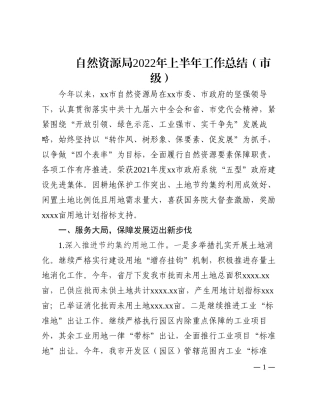 自然资源局2022年上半年工作总结（市级）202210