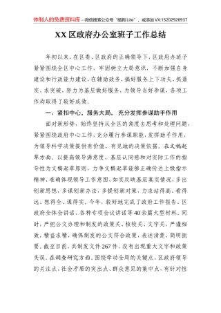 XX区政府办公室班子工作总结