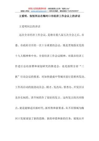 （2018.2.10）王爱明 张恒同志在梅河口市经济工作会议上的讲话