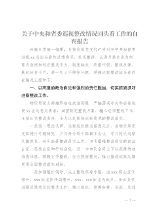 关于中央和省委巡视整改情况回头看工作的自查报告