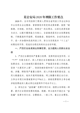 某公安局2020年刑侦工作要点