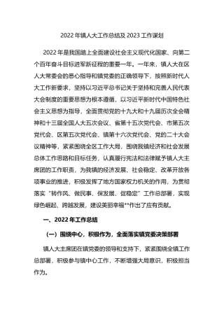 2022年镇人大工作总结及2023工作谋划
