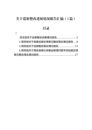 关于巡察整改进展情况报告汇编（3篇）