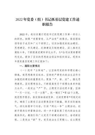 2022年党委（组）书记抓基层党建工作述职报告