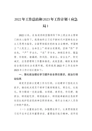 2022年工作总结和2023年工作计划（应急局）