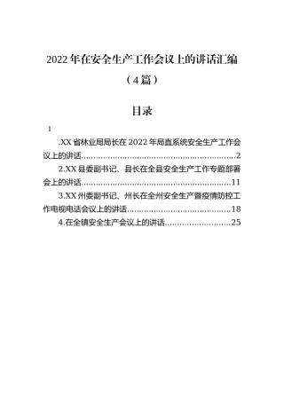 2022年在安全生产工作会议上的讲话汇编（4篇）