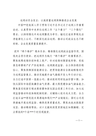 巡视动员会发言：以高质量巡视保障推进企业发展202210