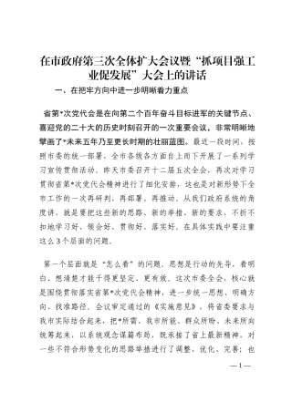 在市政府第三次全体扩大会议暨“抓项目强工业促发展”大会上的讲话202210