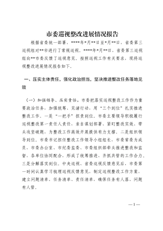 市委巡视整改进展情况报告202210