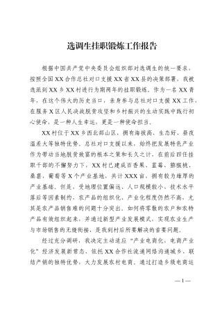 选调生挂职锻炼工作报告202210