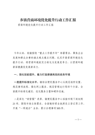 乡镇营商环境优化提升行动工作汇报202210