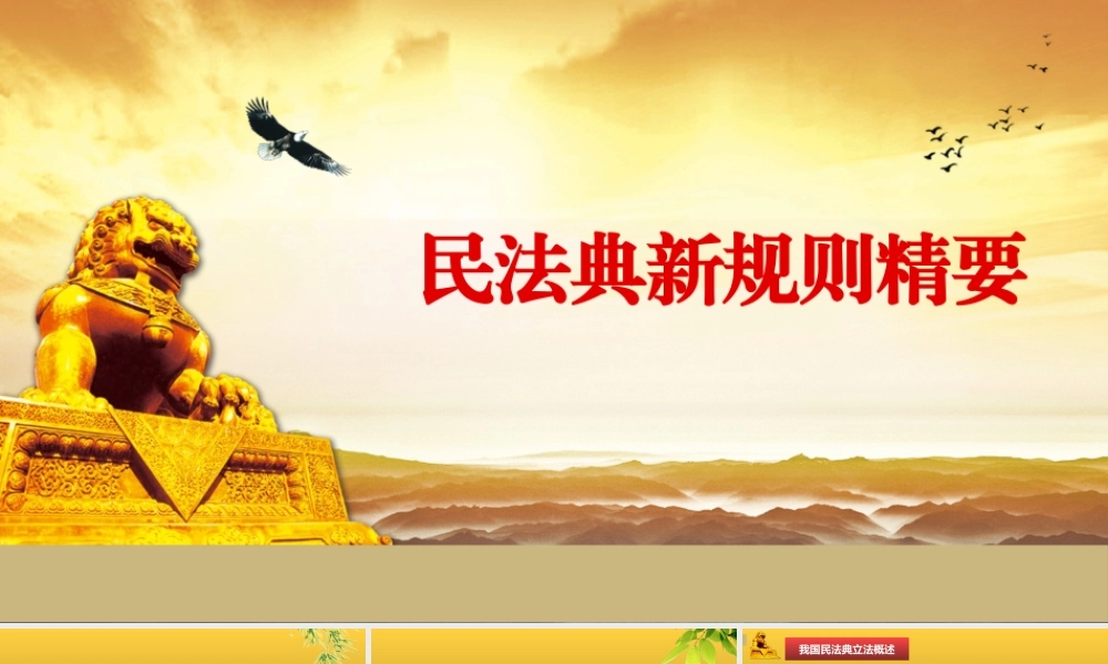中华人民共和国民法典新规则讲座