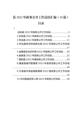 县2022年政务公开工作总结汇编（10篇）