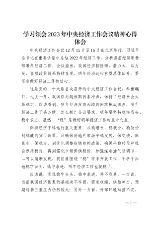 学习领会2023年中央经济工作会议精神心得体会