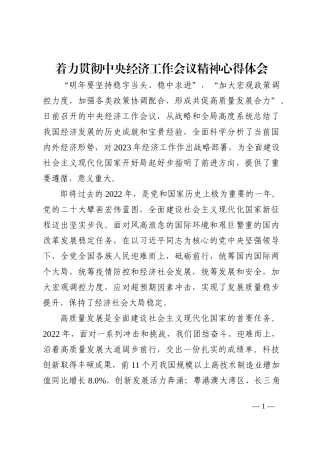 着力贯彻中央经济工作会议精神心得体会