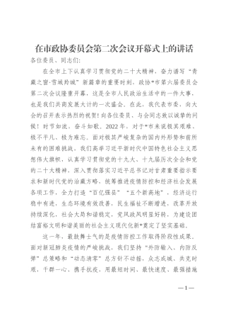 在市政协委员会第二次会议开幕式上的讲话