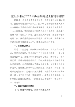 党组织书记2022年抓基层党建工作述职报告