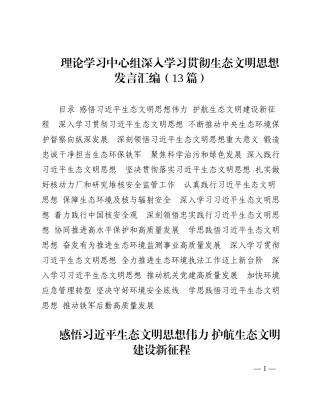 理论学习中心组深入学习贯彻生态文明思想发言汇编（13篇）