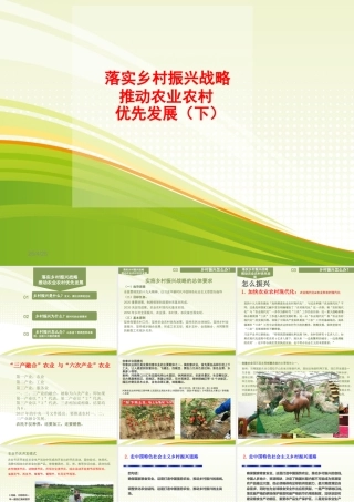 落实乡村振兴战略、推动农业农村优先发展（下）