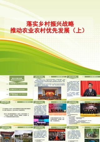 落实乡村振兴战略、推动农业农村优先发展