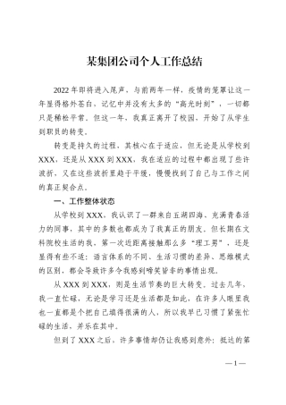 集团公司个人工作总结