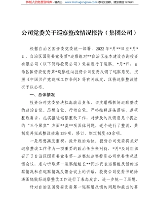 公司党委关于巡察整改情况报告