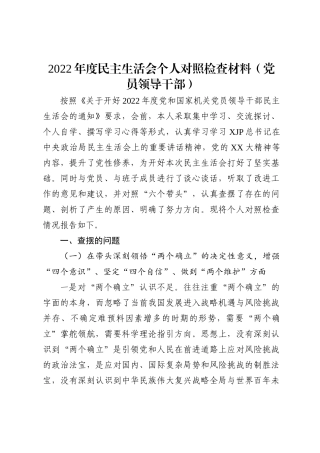 区政府领导2022年度民主生活会个人对照检查材料.doc