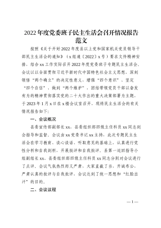 2022年度党委班子民主生活会召开情况报告范文2023年六个带头工作汇报总结