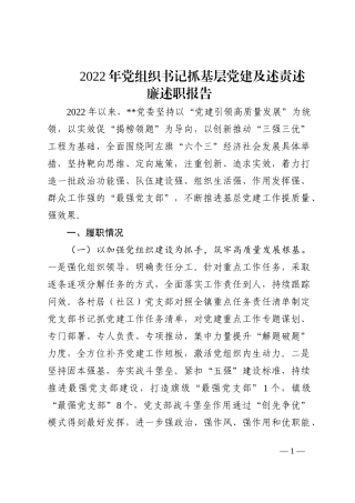 2022年党组织书记抓基层党建及述责述廉述职报告