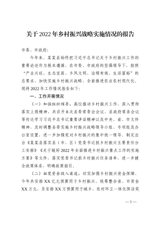 关于2022年乡村振兴战略实施情况的报告