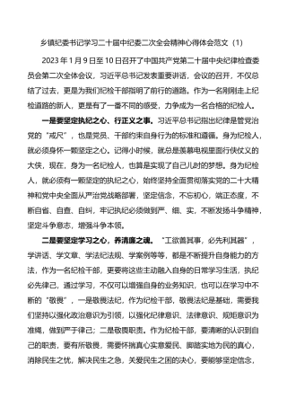 学习二十届中纪委二次全会精神心得体会范文12篇