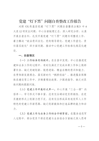 党建“灯下黑”问题自查整改工作报告