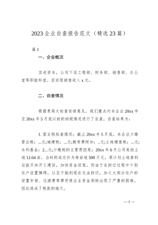 （23篇）2023企业自查报告范文