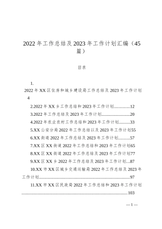 2022年工作总结及2023年工作计划汇编（45篇）