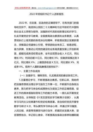 2022年党组织书记个人述职报告