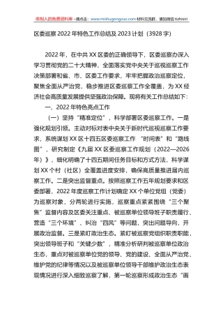 区委巡察2022年特色工作总结及2023计划