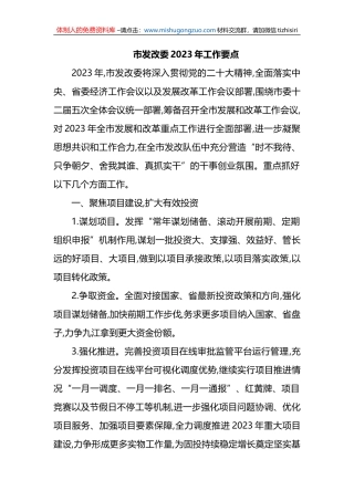 市发改委2023年工作要点