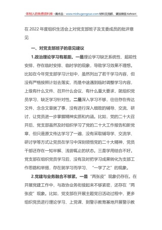 在2022年度组织生活会上对党支部班子及支委成员的批评意见