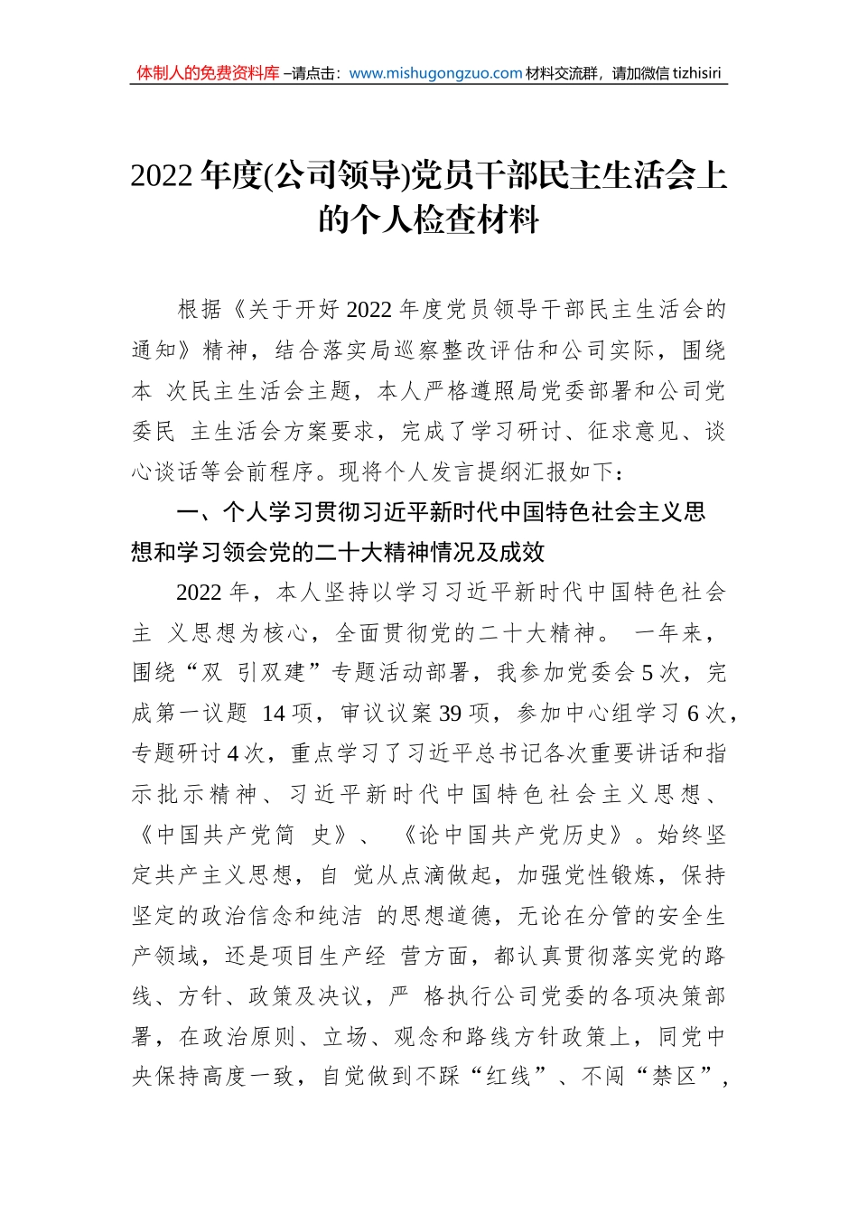 2022年度(公司领导)党员干部民主生活会上的个人检查材料_第1页