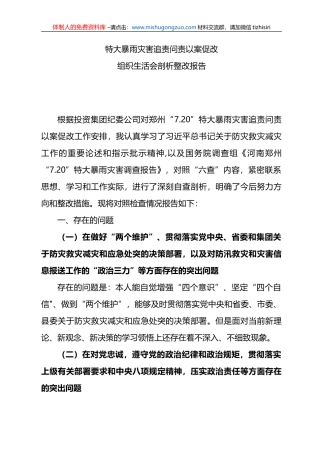 特大暴雨灾害追责问责以案促改组织生活会剖析整改报告