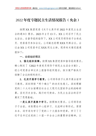 2022年度专题民主生活情况报告（央企）