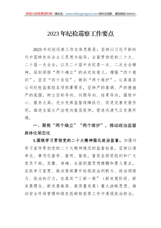 2023年纪检巡察工作要点