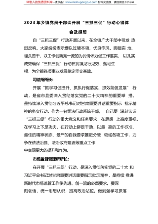 2023年乡镇党员干部谈开展“三抓三促”行动心得体会及感想