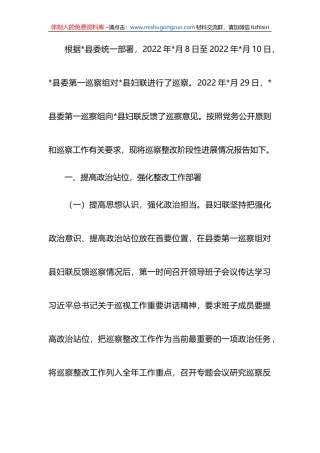县妇联支部委员会关于巡察整改阶段性进展情况的报告