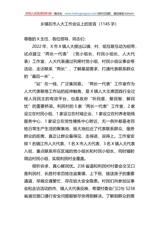 乡镇在市人大工作会议上的发言