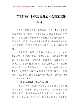 “春雷行动”护航经济发展社会稳定工作报告