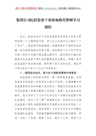 集团公司纪检监察干部参加教育整顿学习感悟